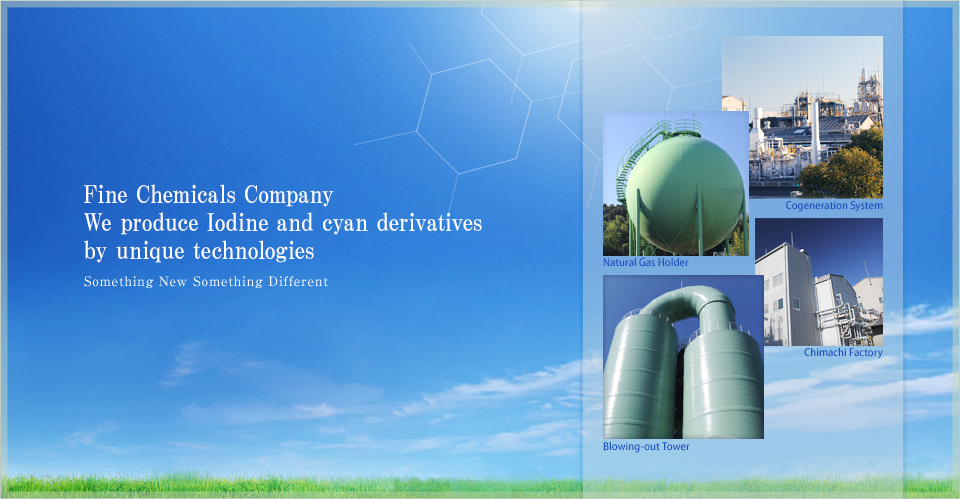 Fine Chemicals Company
        We produce Iodine and cyan derivatives by unique technologies