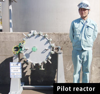 Pilot reactor